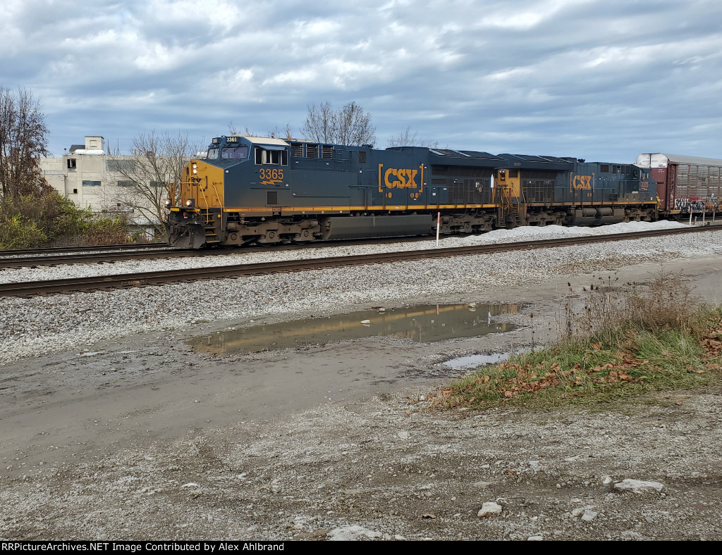 CSX 3365